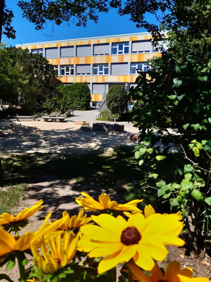 Blick auf unsere Schule