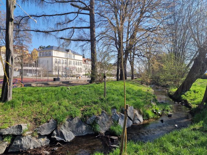71.Grundschule Dresden "Am Kaitzbach" - DIE SCHULE IM GRÜNEN