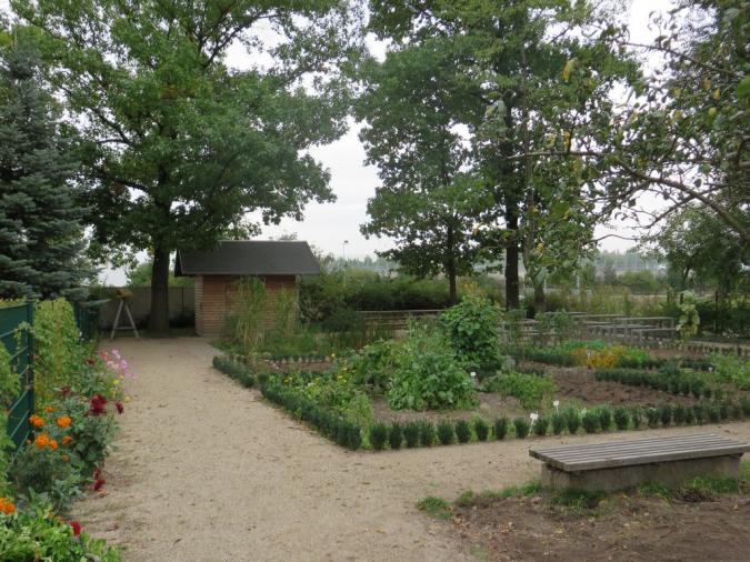 Der Blick in den Schulgarten