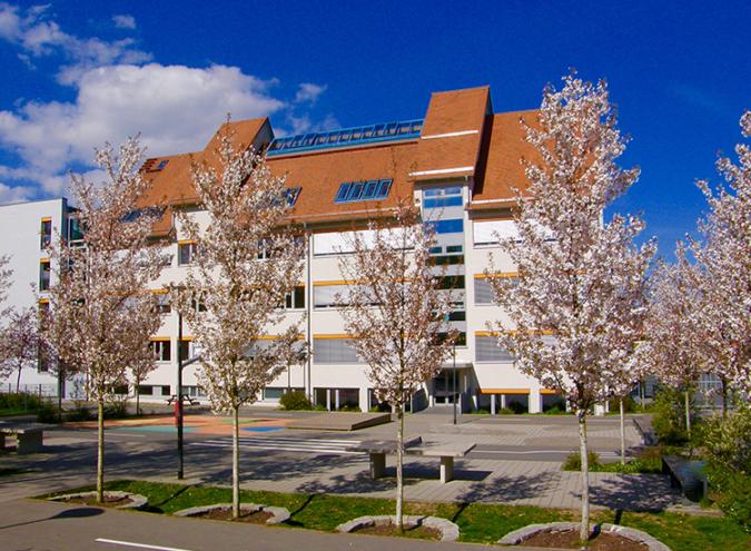 Grundschule Schönfeld von der Hofseite betrachtet