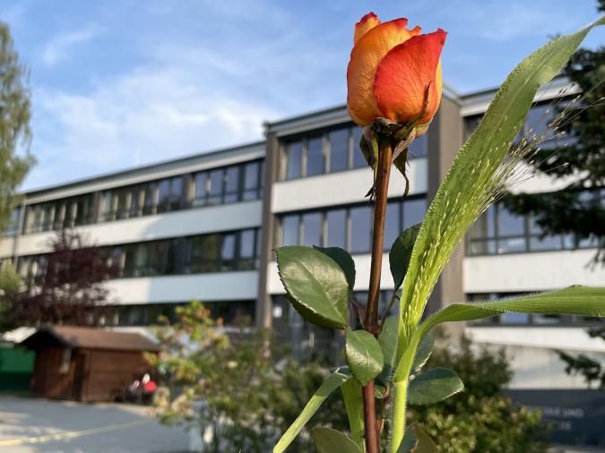 Eingangsbereich des Schulgebäudes mit Rose