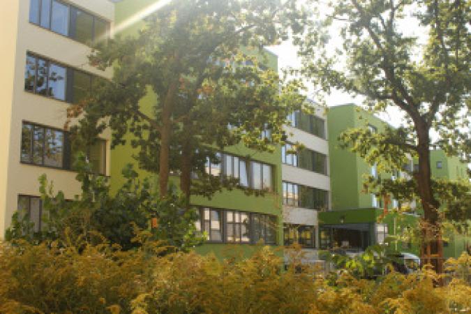 Neubauschule im Hintergrund,  Bäume im Vordergrund 