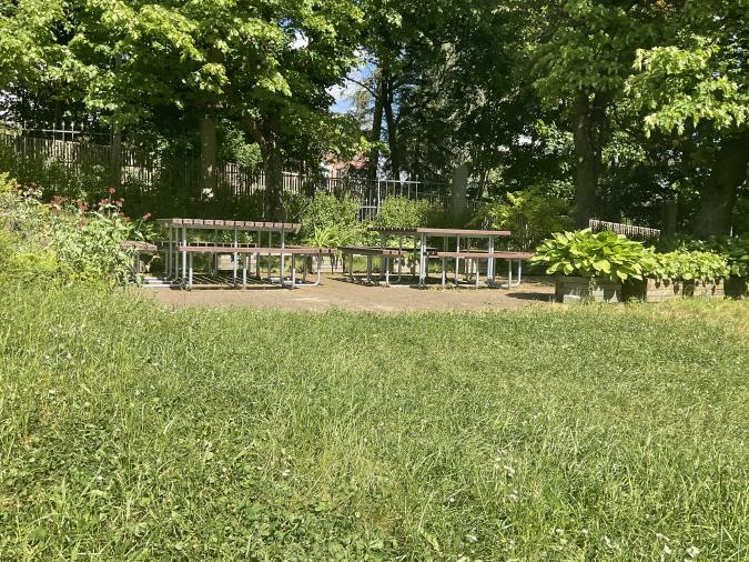 grünes Klassenzimmer