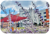 Förderzentrum Dresden, Prof. Dr. R. Fetscher